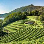 La Mangialonga 2024 in Mendrisiotto: a food and wine excursion between tradition and novelty