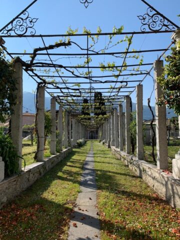 Collegio Papio