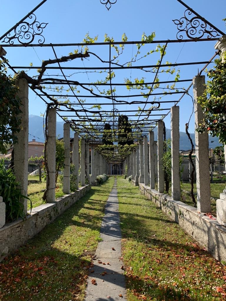 Rinasce lo splendore del Giardino Storico del Collegio Papio, esempio di valorizzazione del patrimonio