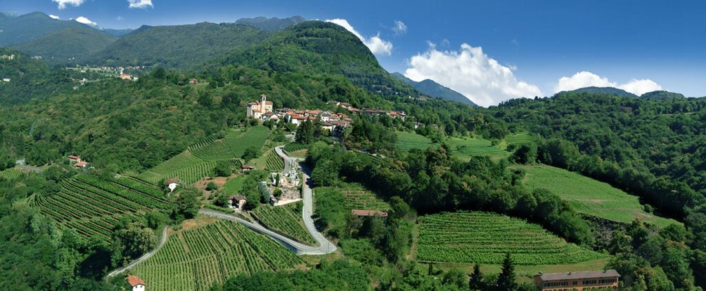 Arte e vini in sinfonia a Castelrotto: Alex Dorici illumina la Tenuta Vallombrosa durante Cantine Aperte