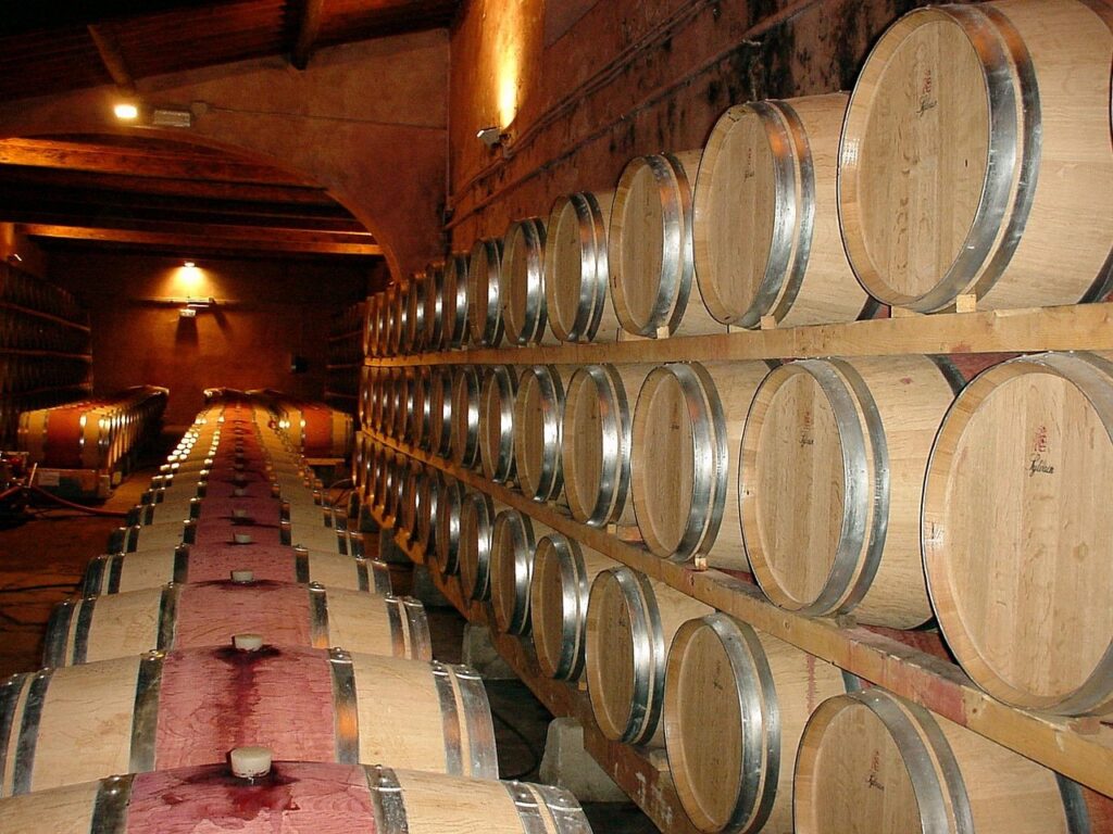 Cantine Aperte Ticino: un quarto di secolo in armonia con il Territorio