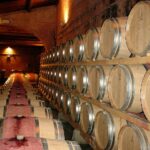Cantine Aperte Ticino: un quarto di secolo in armonia con il Territorio