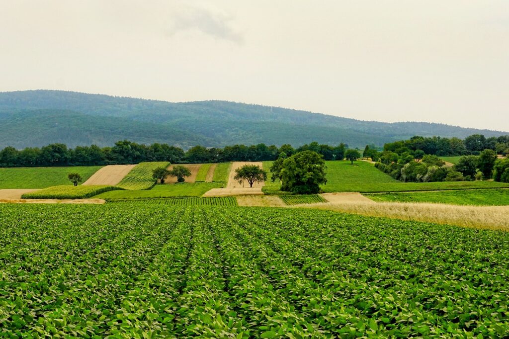 Da Ceresio Investors, prospettive e rischi per il settore agroalimentare