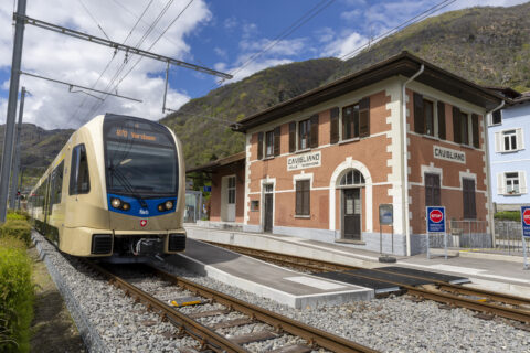 ferrovie ticinesi