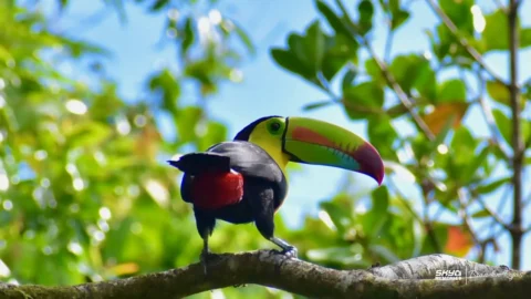 Costa Rica