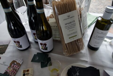 vini siciliani