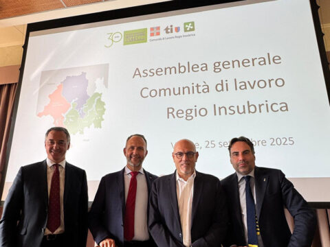 regio insubrica