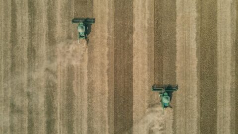 AgriFestival debutta a Lugano: nuova vetrina per il settore agroalimentare ticinese