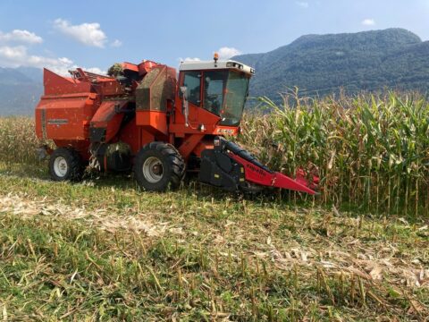 agricoltura ticinese