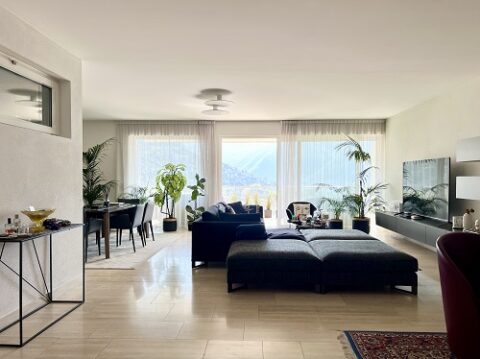 sit immobiliare mercato immobiliare ticinese