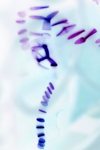 Concorso di fotografia a Lugano: l’edizione 2025 di Unpublished Photo celebra i nuovi linguaggi visivi