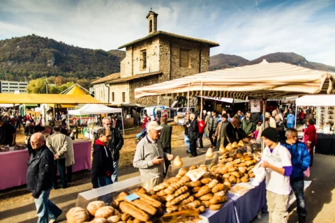 Tra tradizione e futuro: il Mendrisiotto si racconta alla Fiera di San Martino