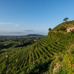 Col Vetoraz: vogliamo produrre solo ciò che siamo