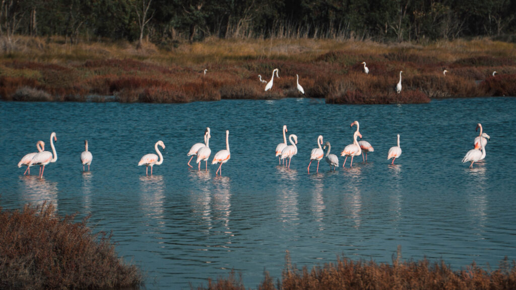 Terralbese e Linas: paesaggi incontaminati, emozioni e tradizioni