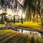 Palazzo di Varignana presenta l’olio nuovo: debutta Aurum, la selezione da olivi secolari