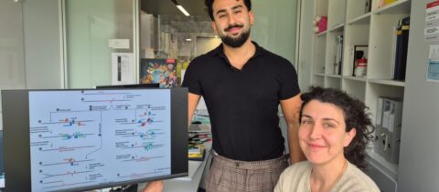 Dall'USI, un lungo passo avanti nella comprensione della malattia di Huntington