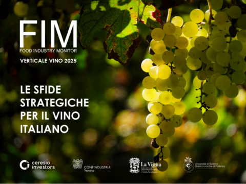 Vino italiano: a che punto siamo?