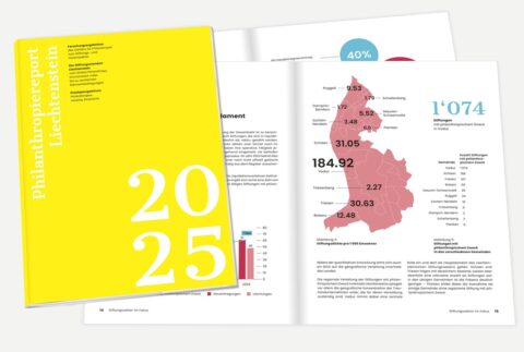 Fondazioni del Liechtenstein: dati, tendenze e impatto del primo rapporto filantropico