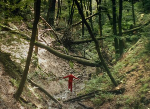 Alle Giornate cinematografiche di Soletta 2026 numerosi film legati alla Svizzera italiana tra prime mondiali, documentari e cortometraggi.