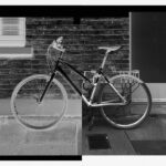 Due nuove mostre a Bellinzona: arte contemporanea e memoria al Museo Villa dei Cedri