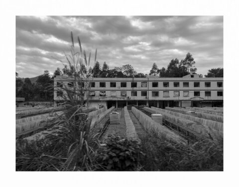 Due nuove mostre a Bellinzona: arte contemporanea e memoria al Museo Villa dei Cedri