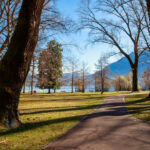 Un giardino per Giusy: a Locarno nasce il Giardino dei Giusti