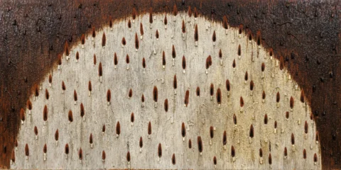 Con il nuovo Dib Museum, BangkoK si conferma polo 