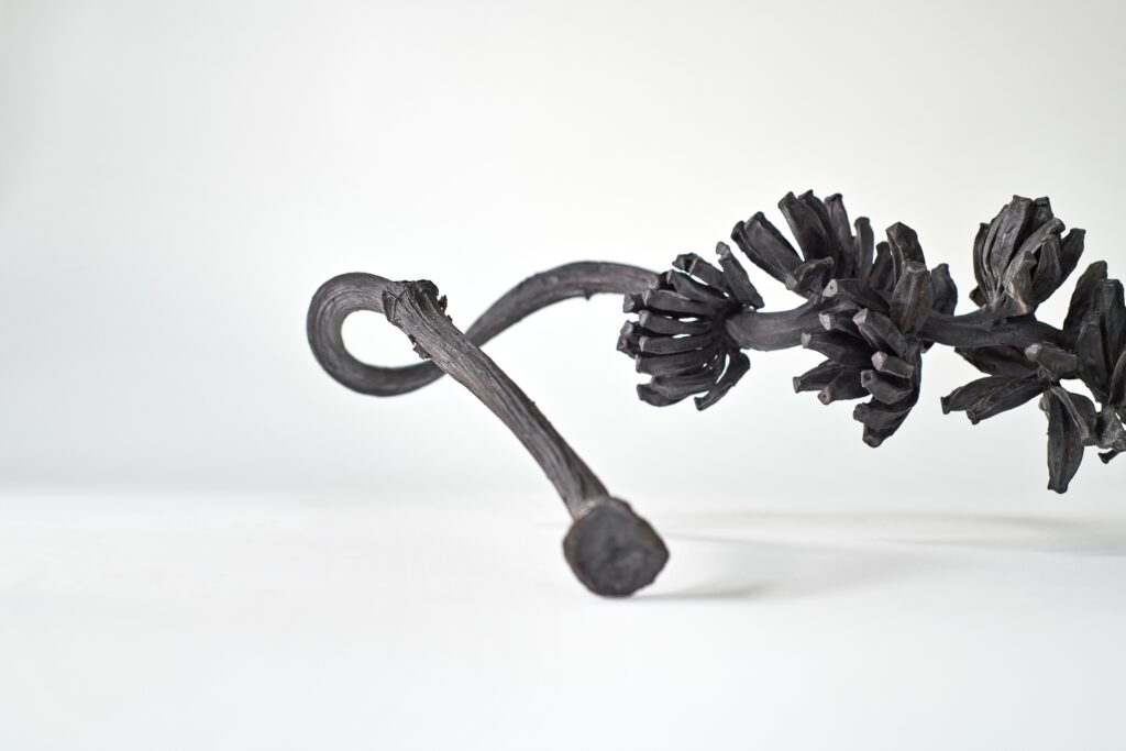 MASI: affascinante mosaico di linguaggi artistici