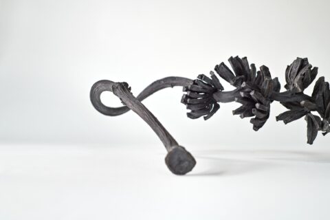 MASI Affascinante mosaico di linguaggi artististci