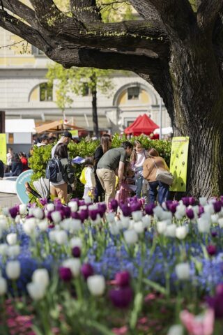 Pasqua a Lugano 2026 segna numeri record tra eventi, famiglie e turisti: grande successo per Caccia al tesoro e Pic-nic al Parco Ciani.