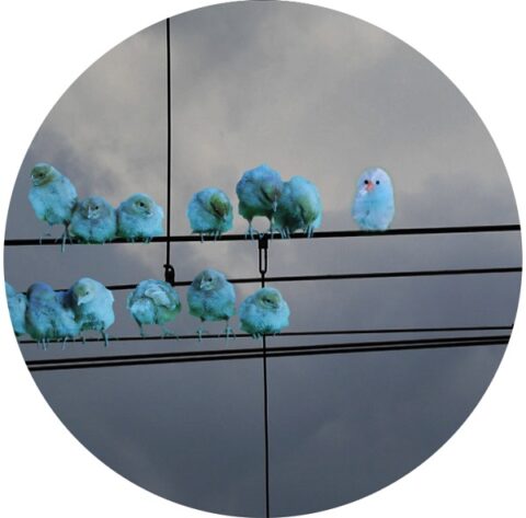 Turismo in Svizzera, la riscoperta dei luoghi vicini ridisegna la primavera 2026