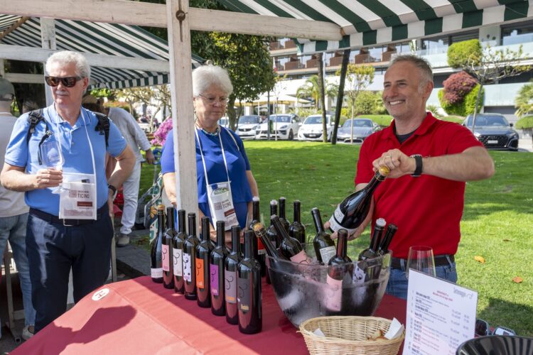 Muralto vini al lago: