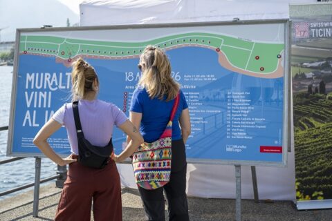 Muralto vini al lago: 