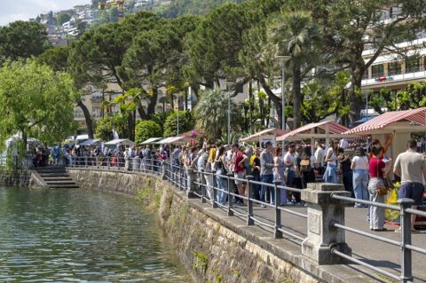 Muralto vini al lago: 