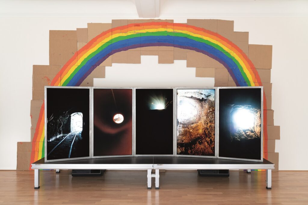 Mostra di Bertille Bak: al Museo Vincenzo Vela le voci invisibili della terra