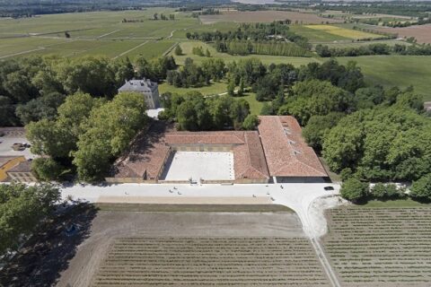 paesaggio vitivinicolo