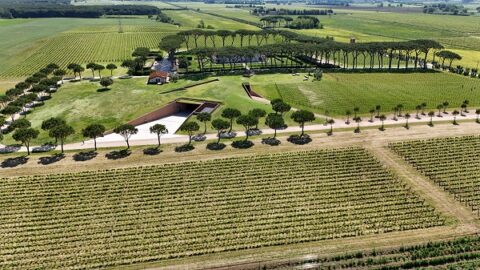 Culture e paesaggi del vino: a Treviso una mostra racconta il futuro delle cantine tra architettura e sostenibilità A Ca’ Scarpa un percorso espositivo indaga l’evoluzione del paesaggio vitivinicolo, il ruolo dell’architettura contemporanea e le nuove sfide della produzione del vino tra tradizione, biodiversità e cambiamento climatico Meta description: Culture e paesaggi del vino è la nuova mostra di Treviso dedicata al paesaggio vitivinicolo, all’architettura delle cantine e alla sostenibilità nel mondo del vino. Titolo SEO: Culture e paesaggi del vino: mostra a Treviso tra architettura, paesaggio e sostenibilità Slug: culture-paesaggi-vino-treviso-mostra-architettura-sostenibilita