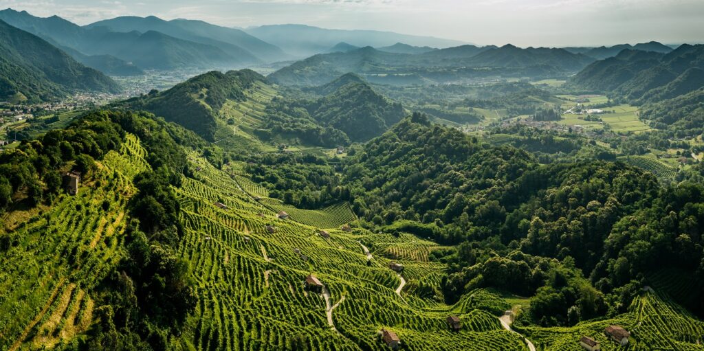 Culture e paesaggi del vino: a Treviso una mostra racconta il futuro delle cantine tra architettura e sostenibilità