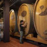 Cantine Aperte in Ticino 2026: due weekend tra degustazioni, territorio e nuove soluzioni di mobilità
