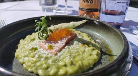 Ticino Gourmet: profumo di primavera nei boschi del Ticino