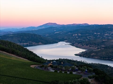 Colgin Cellars: vini prodotti a regola d’arte Neil Bernardi, CEO del Gruppo Colgin Cellars che da oltre trent'anni abbraccia l'ideale di creare vini armoniosi, eleganti e precisi, provenienti da eccezionali vigneti collinari nel cuore della Napa Valley