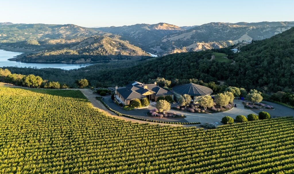 Colgin Cellars: vini prodotti a regola d’arte