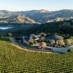 Colgin Cellars: vini prodotti a regola d’arte