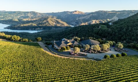 Colgin Cellars: vini