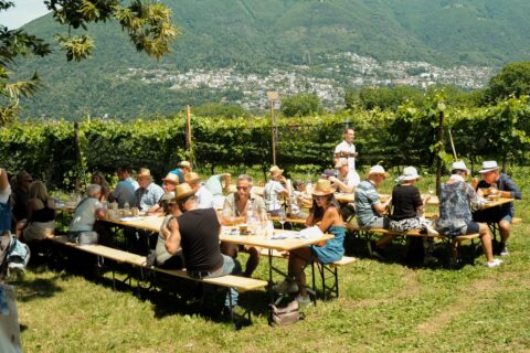 Mercato del Gusto Ascona, 5.000 visitatori per un’edizione da record La manifestazione organizzata da Cantina alla Maggia e Terreni alla Maggia