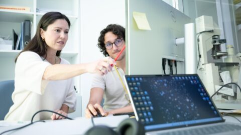 Malaria, dall’IRB di Bellinzona nuovi bersagli per vaccini più efficaci