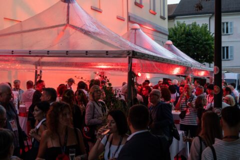 tedxbellinzona-2026-viaggio-idee