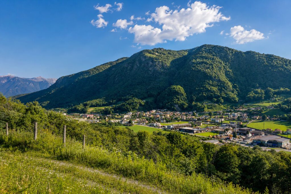 Sapori in Carvina, nasce un nuovo itinerario tra gusto e territorio nel Monte Ceneri