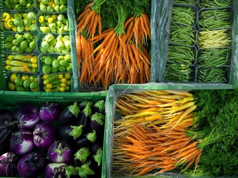 l grande cuore agroalimentare del Ticino Intervista a Sibilla Quadri, Direttrice del Centro di Competenze Agroalimentari 