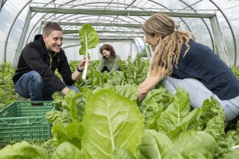 l grande cuore agroalimentare del Ticino Intervista a Sibilla Quadri, Direttrice del Centro di Competenze Agroalimentari 
